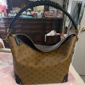 Louis Vuitton triangle softy